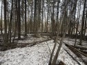 Twp Rd 662, Rural Athabasca County, AB 