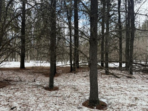 Twp Rd 662, Rural Athabasca County, AB 