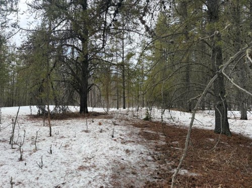 Twp Rd 662, Rural Athabasca County, AB 