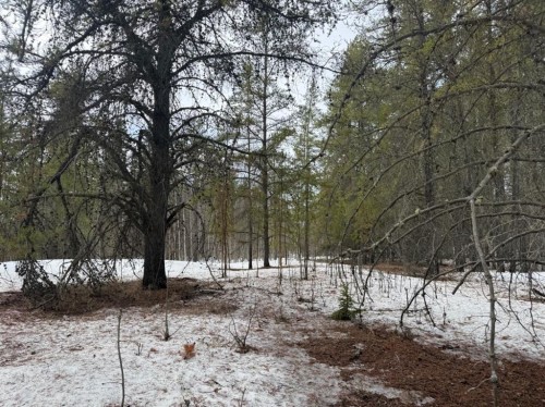 Twp Rd 662, Rural Athabasca County, AB 