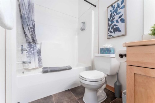 328-101 Montane Road, Canmore, AB - Indoor Photo Showing Bathroom