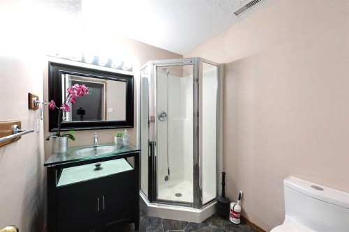 23 Springwood Drive Ne, Slave Lake, AB - Indoor Photo Showing Bathroom