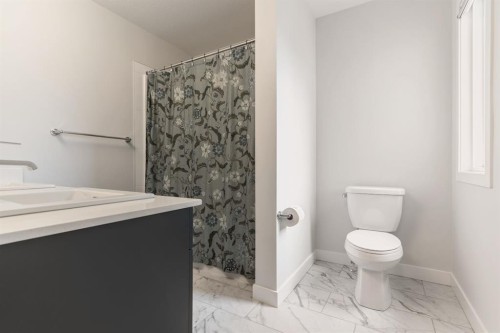 6003 Edmonds Place Nw, Edmonton, AB - Indoor Photo Showing Bathroom
