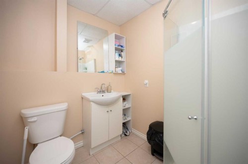 2819 46 Avenue, Athabasca, AB - Indoor Photo Showing Bathroom
