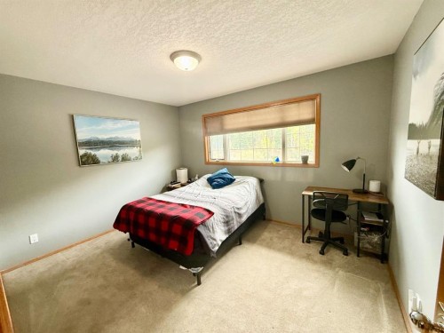 150 Hallam Drive, Hinton, AB - Indoor Photo Showing Bedroom