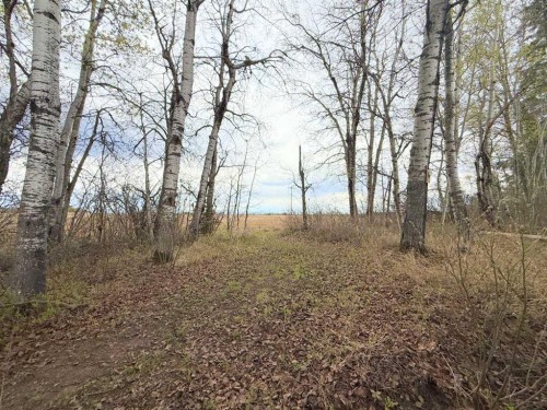 682001A Range Road 222.9, Rural Athabasca County, AB - Outdoor With View