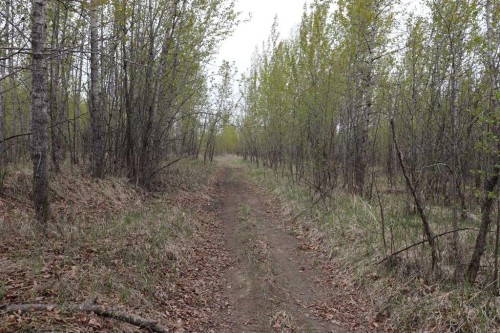54525 Range Road 142B, Rural Yellowhead County, AB - Outdoor With View