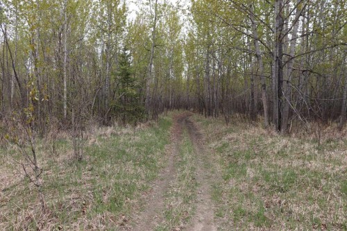 54525 Range Road 142B, Rural Yellowhead County, AB - Outdoor With View