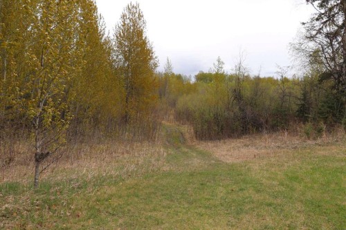 54525 Range Road 142B, Rural Yellowhead County, AB - Outdoor With View