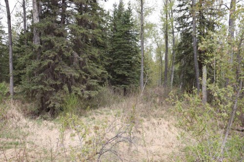 54525 Range Road 142B, Rural Yellowhead County, AB - Outdoor With View
