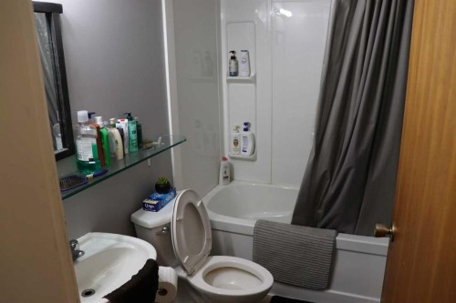 54525 Range Road 142B, Rural Yellowhead County, AB - Indoor Photo Showing Bathroom