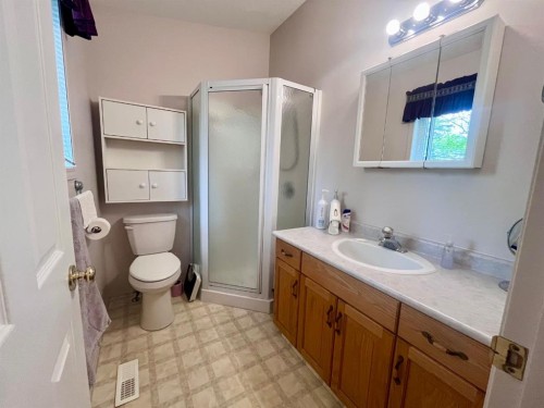 166 Hallam Drive, Hinton, AB - Indoor Photo Showing Bathroom