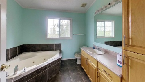1-53018 Range Rd 175, Rural Yellowhead County, AB - Indoor Photo Showing Bathroom