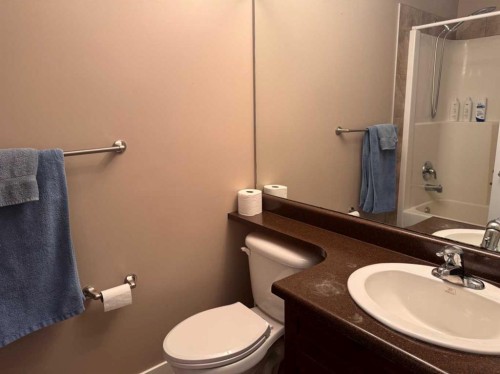 652028 Range Road 243, Athabasca, AB - Indoor Photo Showing Bathroom