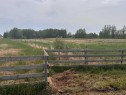 652028 Range Road 243, Athabasca, AB  - Outdoor With View 