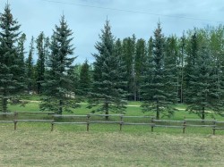 130014-Township Rd 592 Rural Woodlands County, AB T7S 1P4