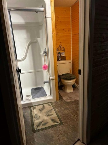 710 3 Avenue, Fox Creek, AB - Indoor Photo Showing Bathroom