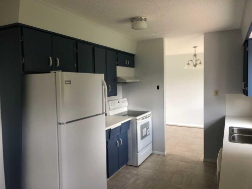132 Lodgepole Drive, Hinton, AB - Indoor Photo Showing Kitchen With Double Sink