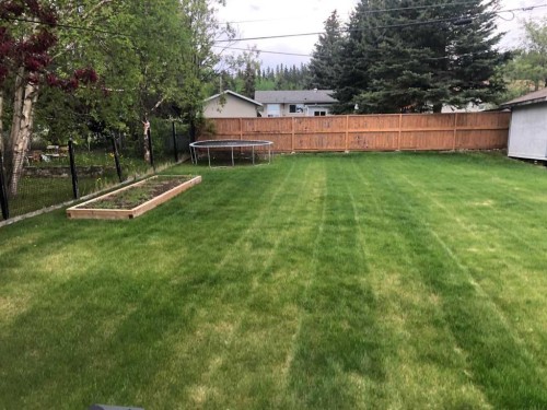 132 Lodgepole Drive, Hinton, AB - Outdoor With Backyard