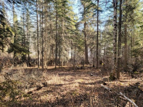 3252 Lake View Drive, Calling Lake, AB - Outdoor With View