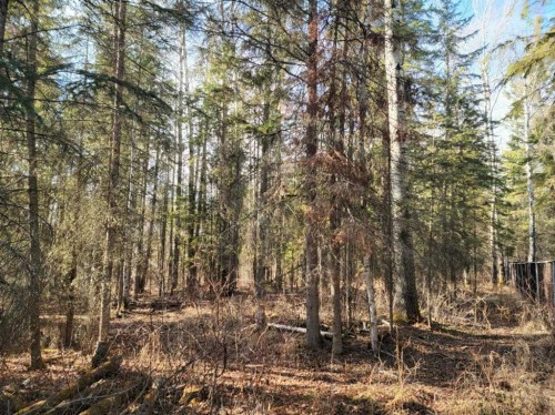 3252 Lake View Drive, Calling Lake, AB - Outdoor With View