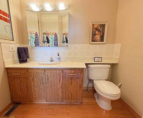 5301 Birch Crescent, Boyle, AB - Indoor Photo Showing Bathroom
