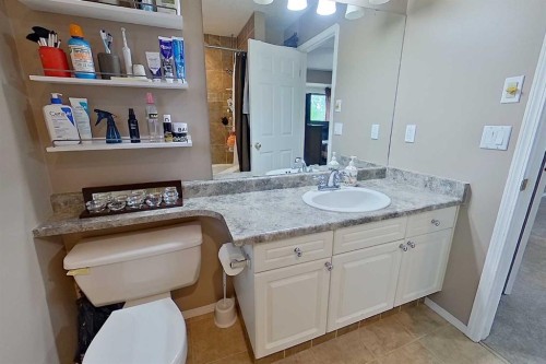 2904 45 Avenue, Athabasca, AB - Indoor Photo Showing Bathroom