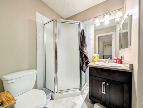 1100 10 Avenue Se, Slave Lake, AB - Indoor Photo Showing Bathroom
