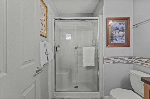 321-107 Montane Road, Canmore, AB - Indoor Photo Showing Bathroom