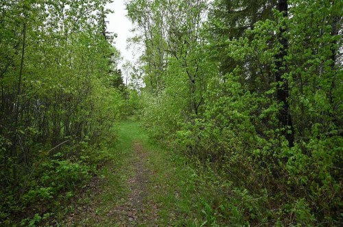 2740 5Th Street Calling Lake Drive, Calling Lake, AB 