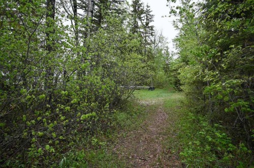 2740 5Th Street Calling Lake Drive, Calling Lake, AB 