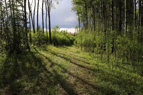 11117 Township Road 534, Rural Yellowhead County, AB - Outdoor With View