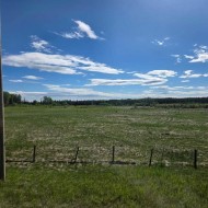 Lot 3 Range Road 175  Rural Yellowhead County, AB T7E 3L7