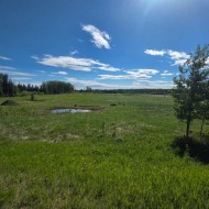 Lot 4 Range Road 175  Rural Yellowhead County, AB T7E 3L7