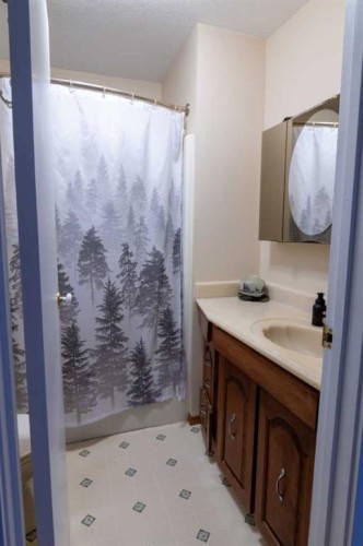 5320 12 Avenue, Edson, AB - Indoor Photo Showing Bathroom