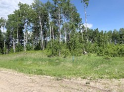 Block 1 Lot 6 Elk Ridge Estates Rural Woodlands County, AB T7S 1N9