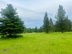 Lot 7 Twp Rd 534 Rural Yellowhead County, AB T7E 1V6