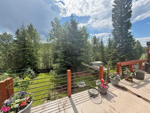 137 Reimer Drive, Hinton, AB 