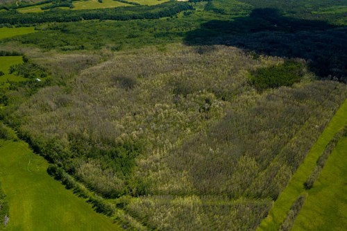 Range Road 231, Rural Athabasca County, AB 