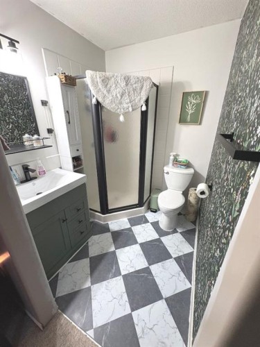 25 Centennial Crescent, Swan Hills, AB - Indoor Photo Showing Bathroom