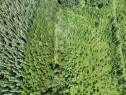 Part Sw 22 66 27 4, Athabasca, AB 