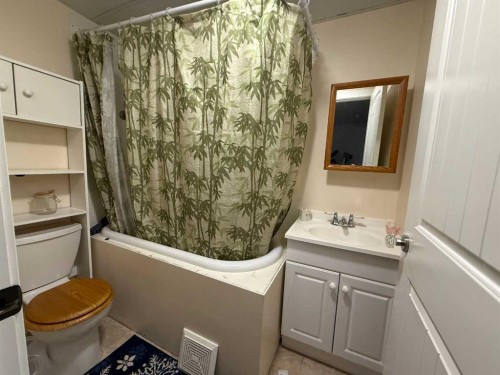 178 Hansen Drive, Hinton, AB - Indoor Photo Showing Bathroom