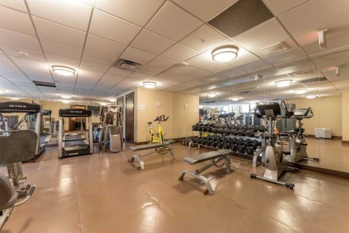 5102-101E Stewart Creek Landing, Canmore, AB - Indoor Photo Showing Gym Room