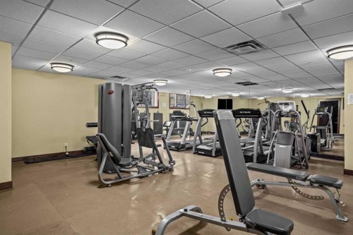 5102-101E Stewart Creek Landing, Canmore, AB - Indoor Photo Showing Gym Room