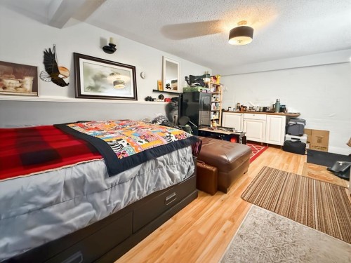 25 Wedow Drive, Whitecourt, AB - Indoor Photo Showing Bedroom