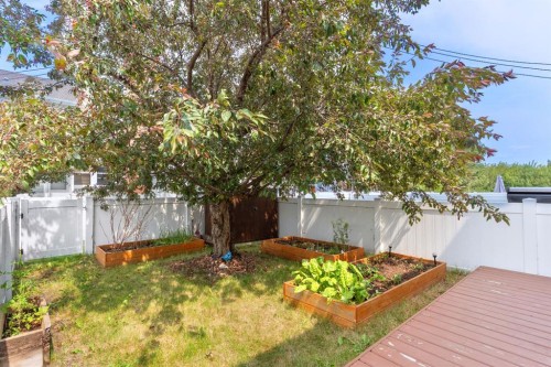 36 Poplar Crescent, Springbrook, AB - Outdoor With Backyard