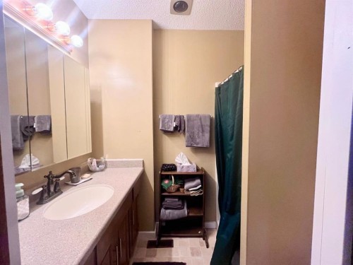 165 Mcpherson Drive, Hinton, AB - Indoor Photo Showing Bathroom