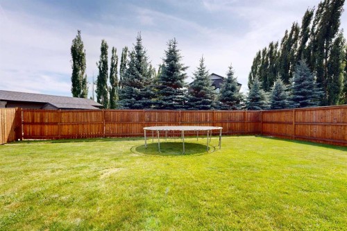 31 Spruce Road, Whitecourt, AB - Outdoor With Backyard