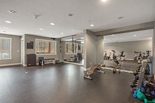 120-300 Palliser Lane, Canmore, AB - Indoor Photo Showing Gym Room