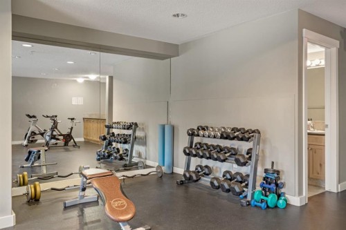 120-300 Palliser Lane, Canmore, AB - Indoor Photo Showing Gym Room